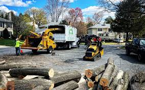 Berlin, MD Tree Services Company